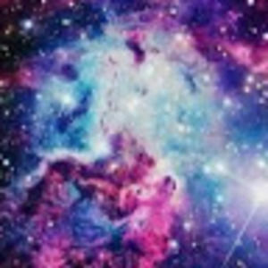 Meet your Posher, Tedyn